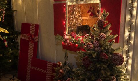 IMG_20241220_232342