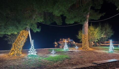 IMG_20241224_183724