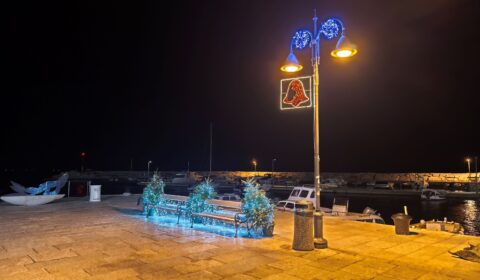 IMG_20241224_184257