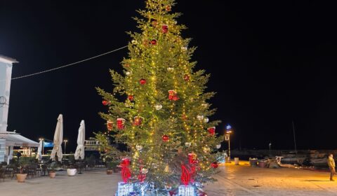 IMG_20241224_184421