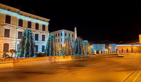 IMG_20241226_202851
