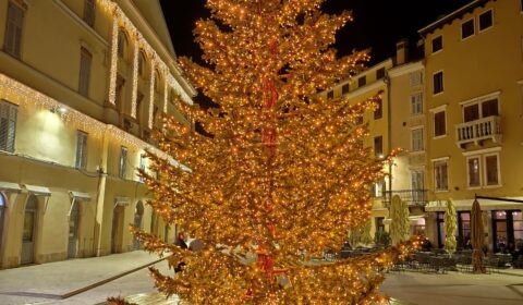 IMG_20241226_203947