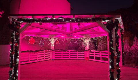 IMG_20241229_170715