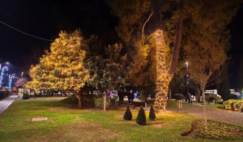 IMG_20241230_084440
