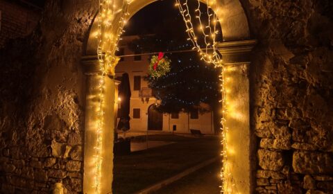 IMG_20241230_084557