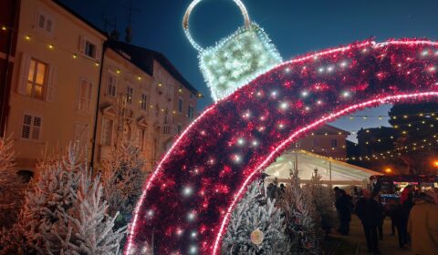 IMG_20241230_085102